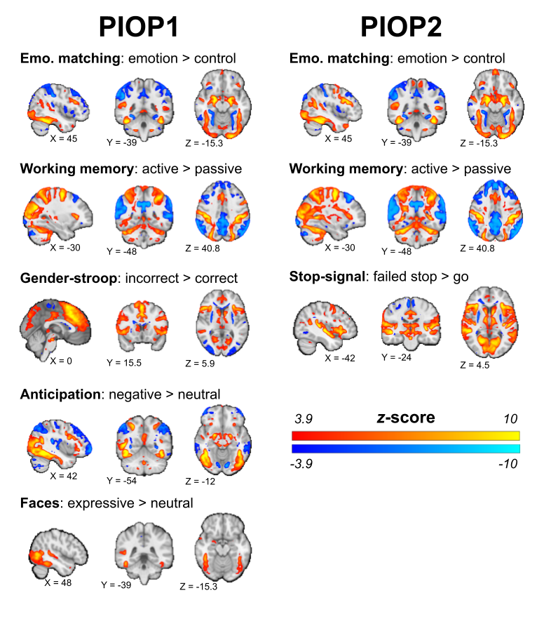 Results from task-specific group-level analyses. Brain maps show uncorrected effects (p < 0.00001, two-sided) and were linearly interpolated for visualization in FSLeyes. Unthresholded whole-brain z-value maps are available on NeuroVault. Unthresholded whole-brain z-value maps are available on NeuroVault.