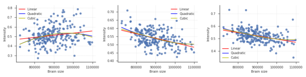 Visualisation of the relation between brain size and VBM intensity for three voxels. The left two voxels have most negative \(\Delta R^{2}_{\mathrm{linear-cubic}}\) (i.e., the cubic model performs maximally better than the linear model) in voxel sets A and B, respectively. The voxel plotted in the right panel has the most positive \(\Delta R^{2}_{\mathrm{linear-cubic}}\) in voxel set B.