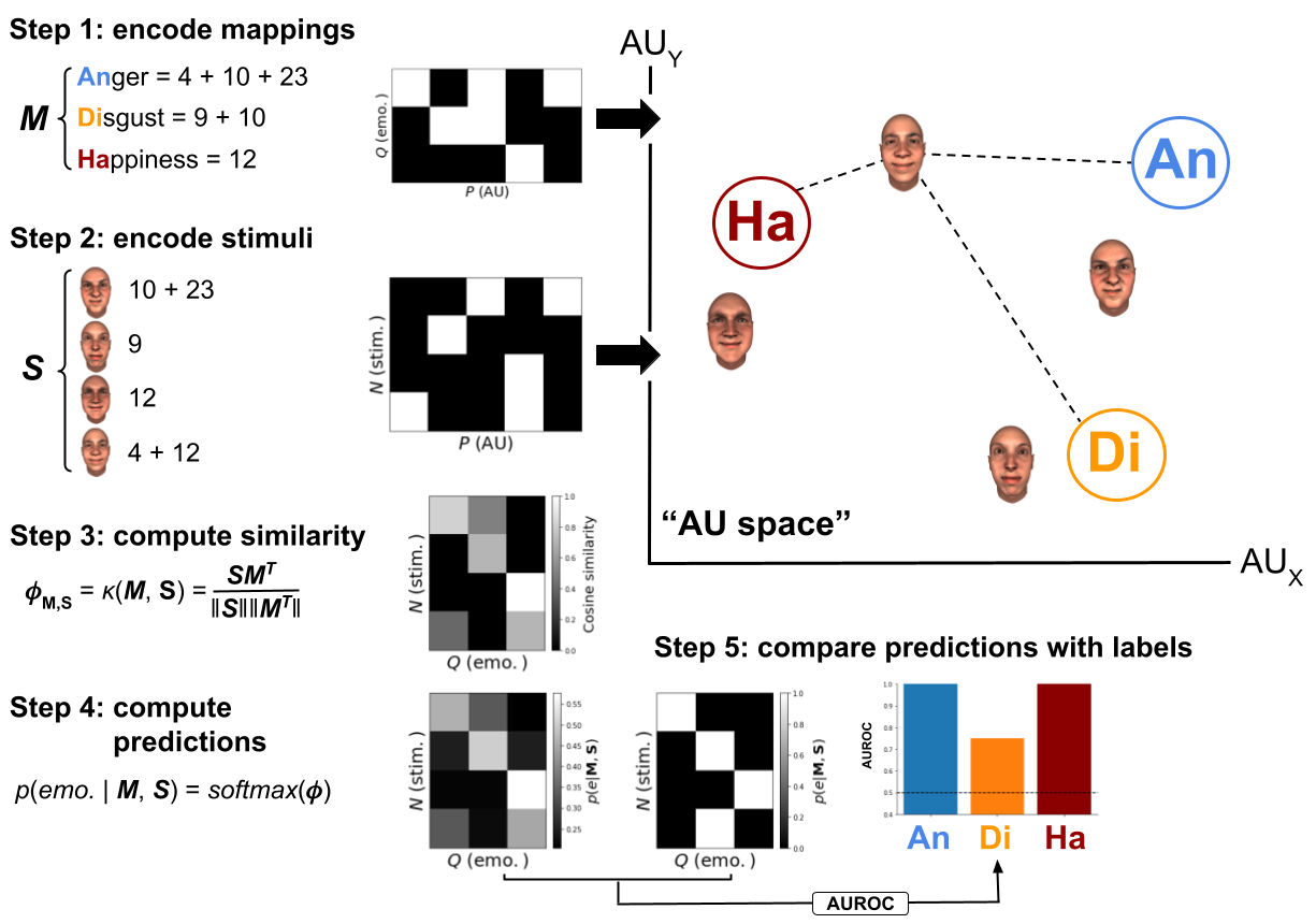 Schematic visualization of the proposed method using a set of hypothetical AU-emotion mappings (\(\mathbf{M}\)) and stimuli (\(\mathbf{S}\)) based on a small set of AUs (five in total). The variable \(P\) represents the number of variables (here: AUs), \(Q\) represents the number of classes (here: emotions), and \(N\) represents the number of trials (here: facial expression stimuli). Note that the AU space technically may contain any number of (\(P\)) dimensions, but is shown here in two dimensions for convenience.